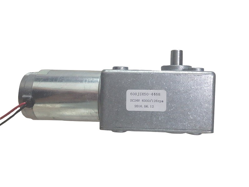 Worm Gear Motor.jpg
